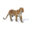 Leopard 3d Model Rigged With Fur PROmax3D - 4