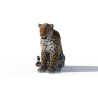Leopard 3d Model Rigged With Fur PROmax3D - 11