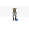 Amur Leopard 3D Model PROmax3D - 5