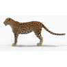 Sri Lankan Leopard 3D Model PROmax3D - 5