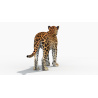 Sri Lankan Leopard 3D Model PROmax3D - 8