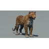 Leopard 3D Model PROmax3D - 2