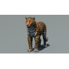 Leopard 3D Model PROmax3D - 3