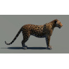 Leopard 3D Model PROmax3D - 7