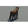 Leopard 3D Model PROmax3D - 8