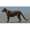 Leopard 3D Model PROmax3D - 9