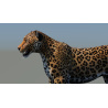 Leopard 3D Model PROmax3D - 11