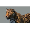 Leopard 3D Model PROmax3D - 12