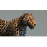 Leopard 3D Model PROmax3D - 13