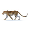 Animated Sri Lankan Leopard 3D Model PROmax3D - 8