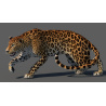 Animated Sri Lankan Leopard 3D Model PROmax3D - 11