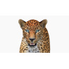 Animated Sri Lankan Leopard 3D Model PROmax3D - 23
