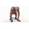 Orangutan Female 3D model PROmax3D - 2