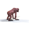 Orangutan Female 3D model PROmax3D - 5