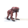 Orangutan Female 3D model PROmax3D - 6