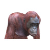 Orangutan Female 3D model PROmax3D - 9