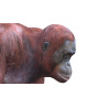 Orangutan Female 3D model PROmax3D - 10