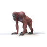 Rigged Female Orangutan 3D Model  - 4
