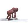 Rigged Female Orangutan 3D Model  - 5