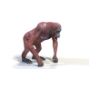 Rigged Female Orangutan 3D Model  - 6