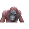 Rigged Female Orangutan 3D Model  - 10