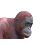 Rigged Female Orangutan 3D Model  - 11