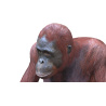 Rigged Female Orangutan 3D Model  - 12