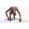 Animated Female Orangutan 3D Model  - 2
