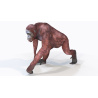 Animated Female Orangutan 3D Model  - 3