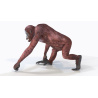 Animated Female Orangutan 3D Model  - 4
