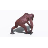 Animated Female Orangutan 3D Model  - 5