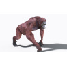 Animated Female Orangutan 3D Model  - 6