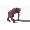 Animated Female Orangutan 3D Model  - 7