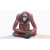 Animated Female Orangutan 3D Model  - 8