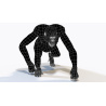 Animated Female Orangutan 3D Model  - 13