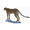 Cheetah 3D Model PROmax3D - 6
