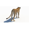Cheetah 3D Model PROmax3D - 8