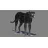 Cheetah 3D Model PROmax3D - 15