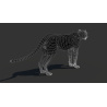 Cheetah 3D Model PROmax3D - 17