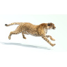 Cheetah 3D Model Animated Fur PROmax3D - 5