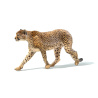Cheetah 3D Model Animated Fur PROmax3D - 6