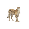 Cheetah 3D Model Animated Fur PROmax3D - 7
