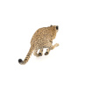 Cheetah 3D Model Animated Fur PROmax3D - 11
