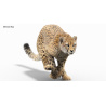 Cheetah 3D Model Animated Fur PROmax3D - 12