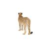 Cheetah 3D Model Animated Fur PROmax3D - 13
