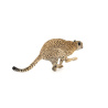 Cheetah 3D Model Animated Fur PROmax3D - 14