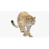 Cheetah 3D Model Animated Fur PROmax3D - 22