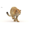 Cheetah 3D Model Animated Fur PROmax3D - 24