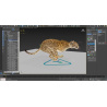 Cheetah 3D Model Animated Fur PROmax3D - 36