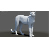 Cheetah 3D Model Animated Fur PROmax3D - 25